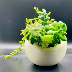 Artificial Succulent Potted Plant | 1 Piece